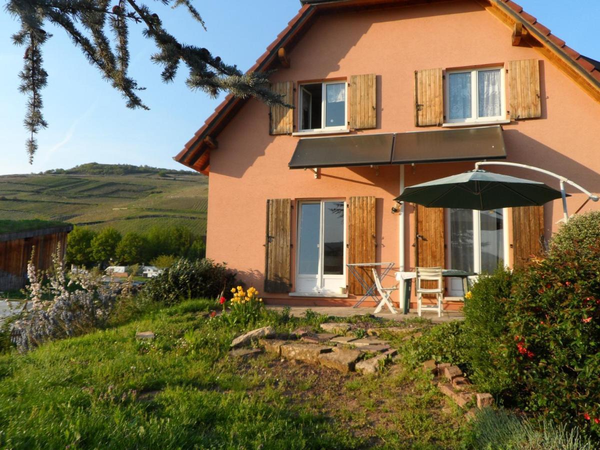 Chez Le Vigneron Apartment Westhalten Екстериор снимка