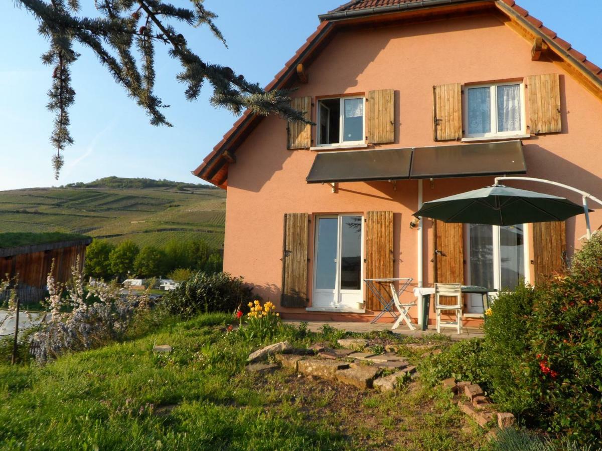 Chez Le Vigneron Apartment Westhalten Екстериор снимка